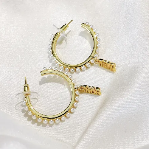 Dior Luxury Womens Earrings B264