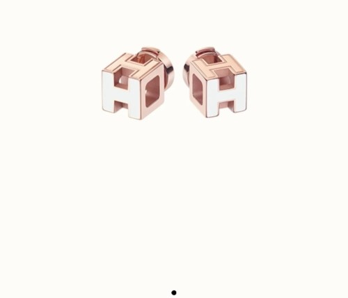Hermes Luxury Womens Earrings AA965