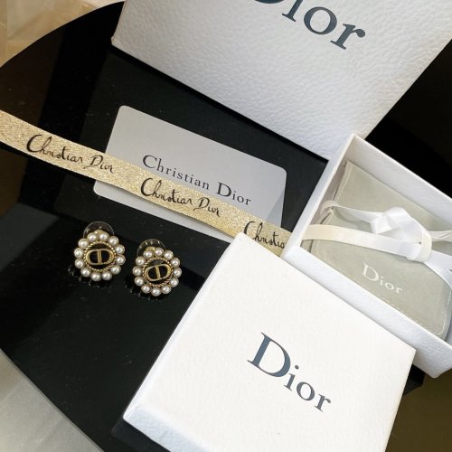 Dior Luxury Womens Earrings B240