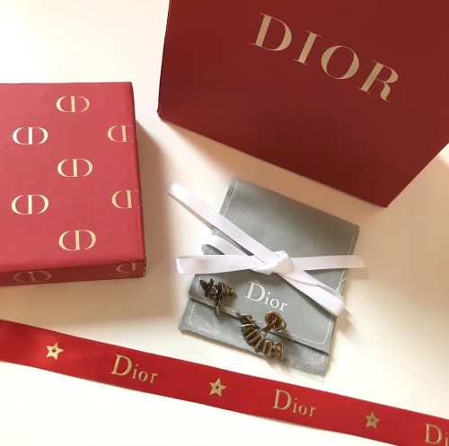 Dior Luxury Womens Earrings AA914