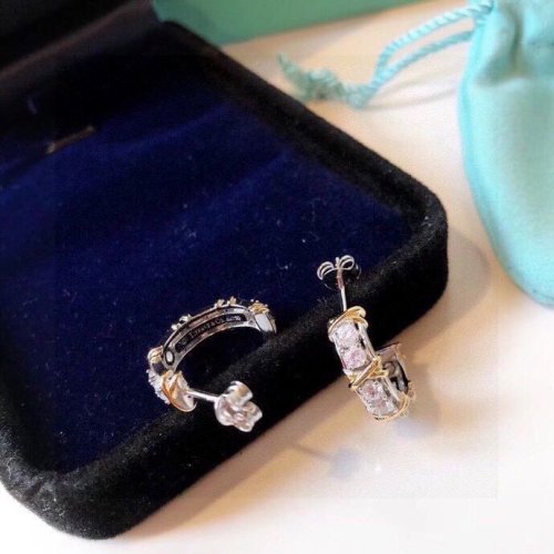 Tiffany Co Luxury Womens Earrings