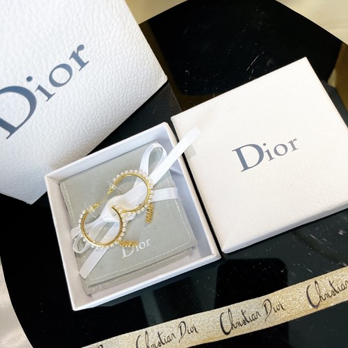 Dior Luxury Womens Earrings B264