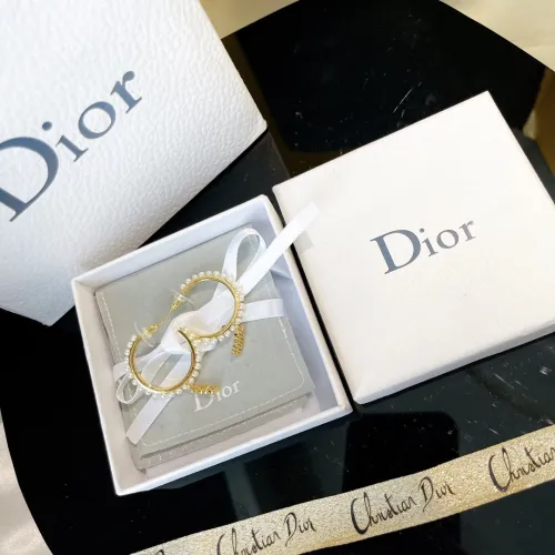 Dior Luxury Womens Earrings B264