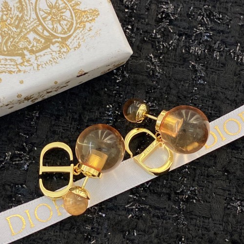 Dior Luxury Womens Earrings E1767