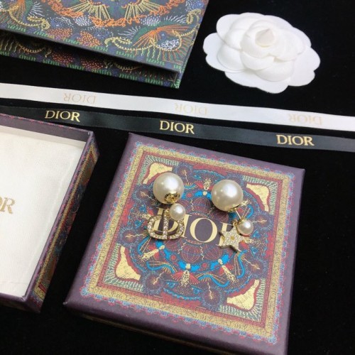 Dior Luxury Womens Earrings