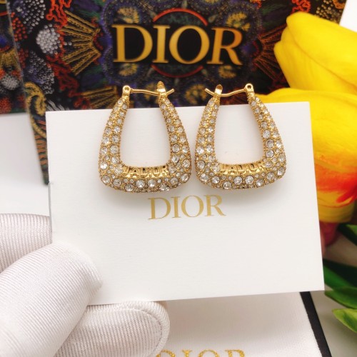 Dior Luxury Womens Earrings DED0101