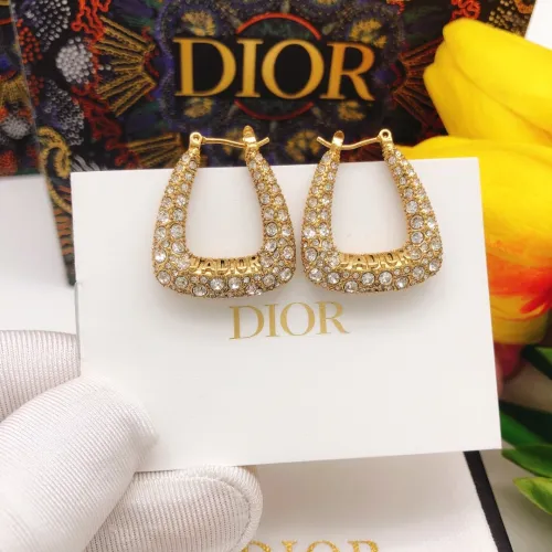 Dior Luxury Womens Earrings DED0101