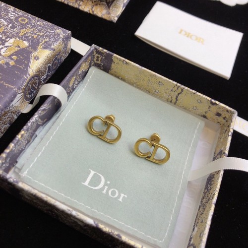 Dior Luxury Womens Earrings