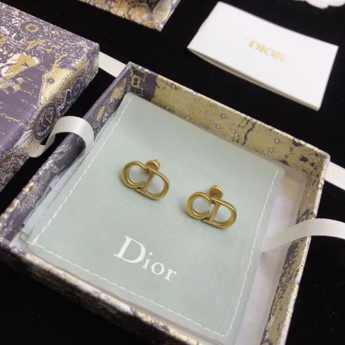 Dior Luxury Womens Earrings