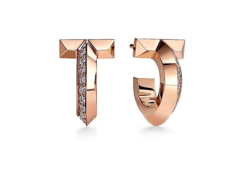 Tiffany Co Luxury Womens Earrings B806