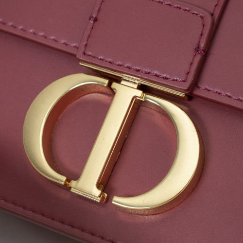 Dior Womens Bags 30 MONTAIGNE BAG