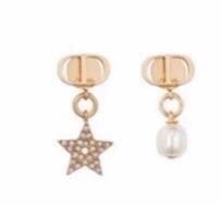Dior Luxury Womens Earrings