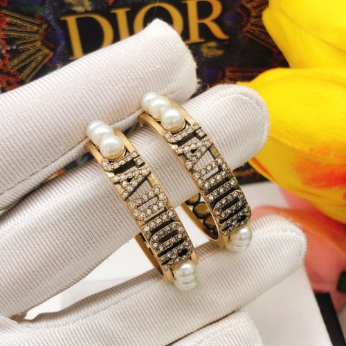 Dior Luxury Womens Earrings DED0197