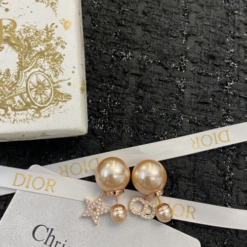 Dior Luxury Womens Earrings E1915