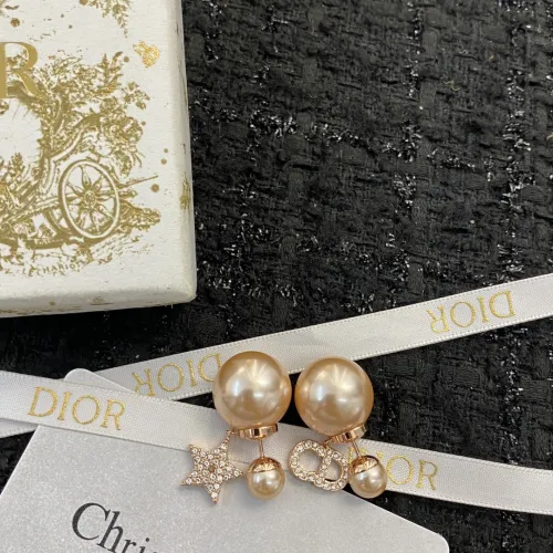 Dior Luxury Womens Earrings E1915