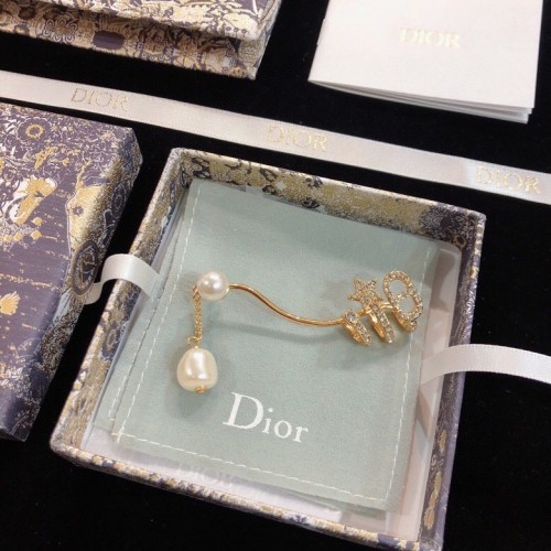 Dior Luxury Womens Earrings