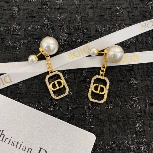 Dior Luxury Womens Earrings E1735