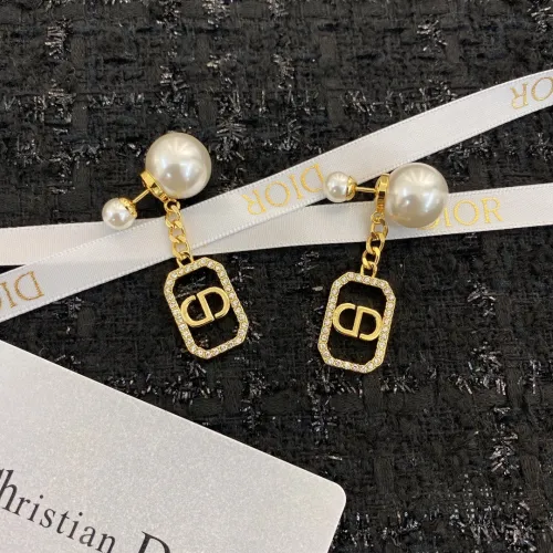 Dior Luxury Womens Earrings E1735