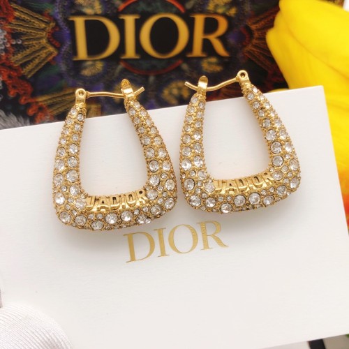 Dior Luxury Womens Earrings DED0101