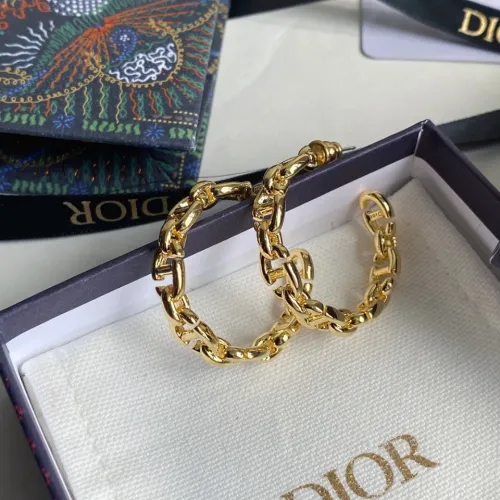 Dior Luxury Womens Earrings