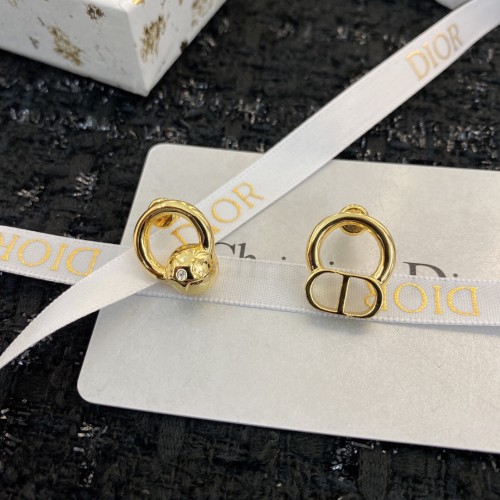 Dior Luxury Womens Earrings E1728