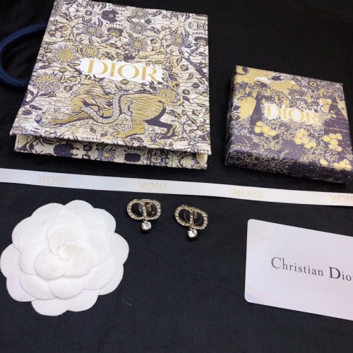 Dior Luxury Womens Earrings