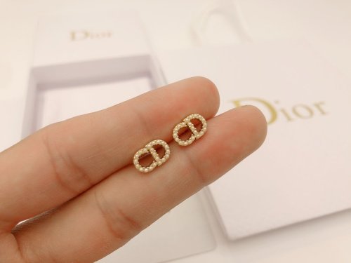 Dior Luxury Womens Earrings DED0015