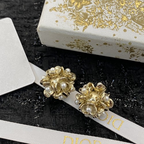 Dior Luxury Womens Earrings E1445