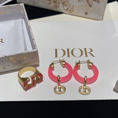 Dior Luxury Womens Earrings DED0242