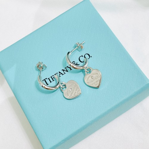 Tiffany Co Luxury Womens Earrings B780
