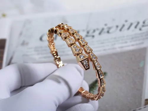 Bvlgari Luxury Womens Bracelet Serpenti