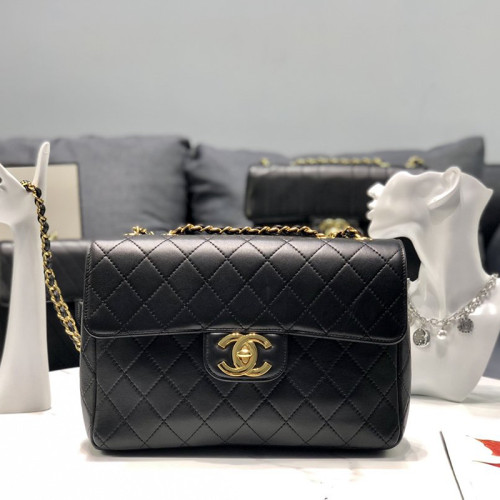 Chanel Womens Bags Classic Crossbody Bag