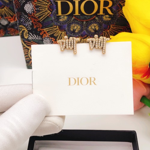Dior Luxury Womens Earrings DED0036