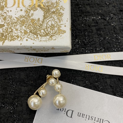 Dior Luxury Womens Earrings E1352