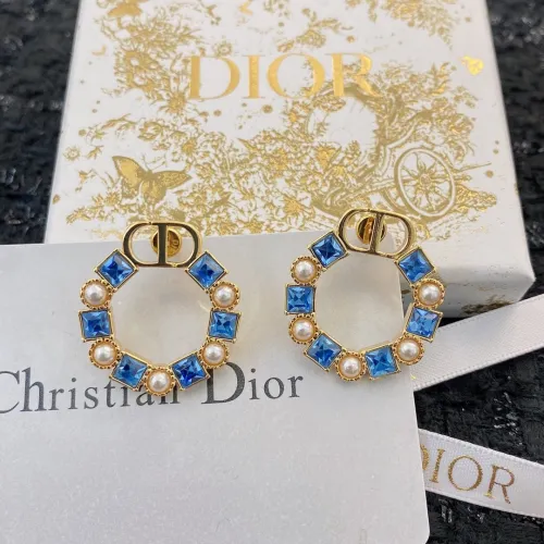 Dior Luxury Womens Earrings E1779