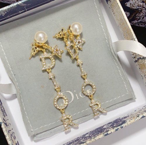 Dior Luxury Womens Earrings yy559