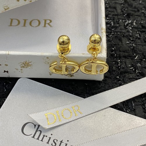 Dior Luxury Womens Earrings E1717