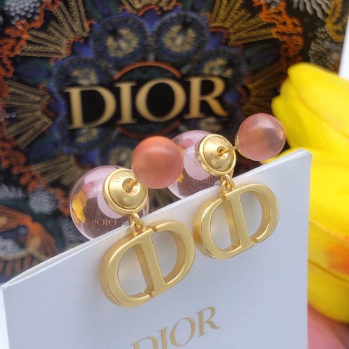 Dior Luxury Womens Earrings DED0431