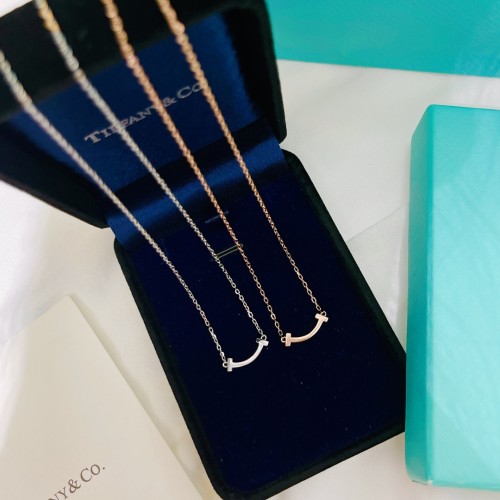 Tiffany Co Luxury Womens Necklace B398