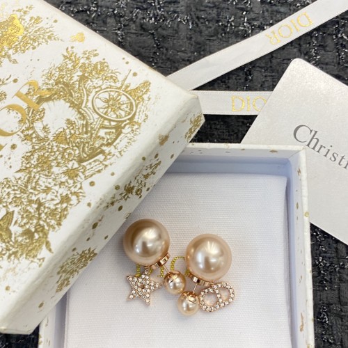 Dior Luxury Womens Earrings E1915