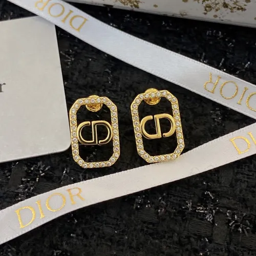 Dior Luxury Womens Earrings E1797
