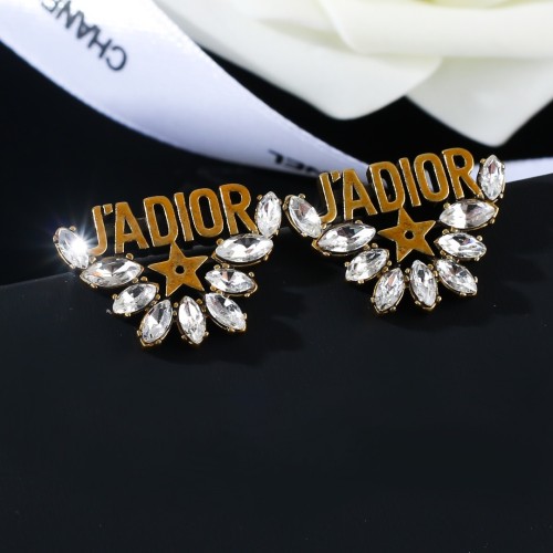 Dior Luxury Womens Earrings