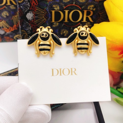 Dior Luxury Womens Earrings DSL0041
