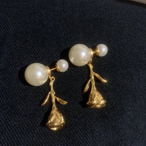 Dior Luxury Womens Earrings