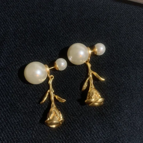 Dior Luxury Womens Earrings