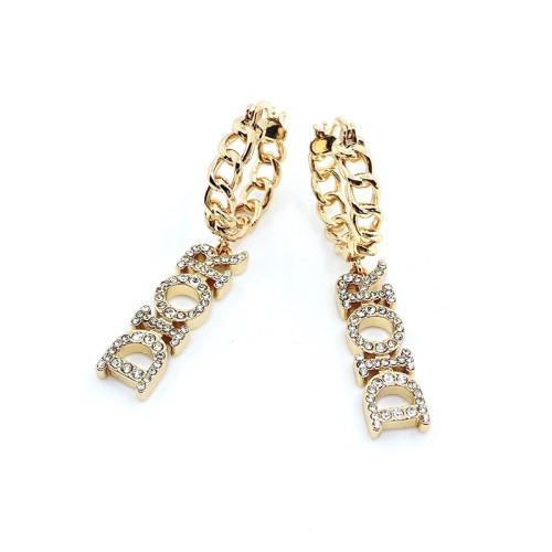 Dior Luxury Womens Earrings