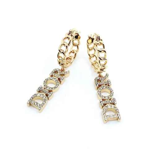 Dior Luxury Womens Earrings