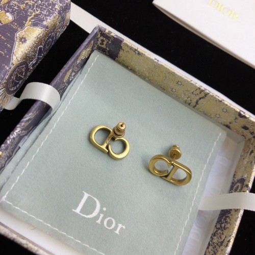 Dior Luxury Womens Earrings