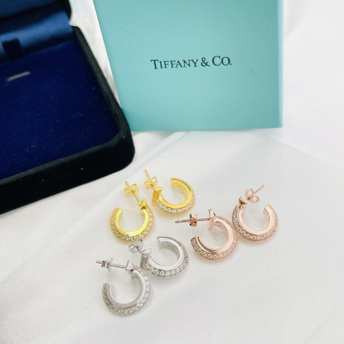 Tiffany Co Luxury Womens Earrings B806
