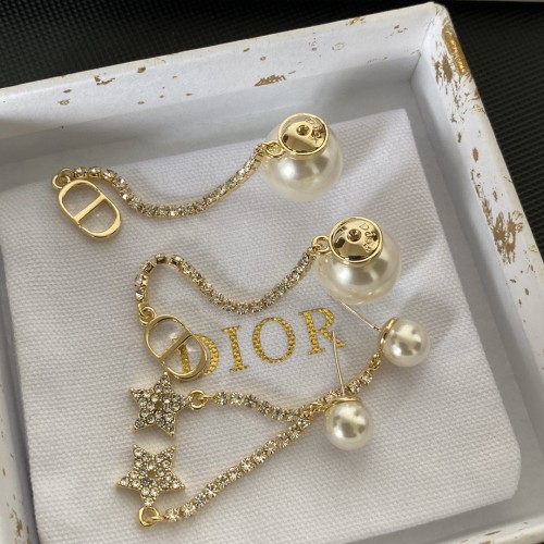 Dior Luxury Womens Earrings